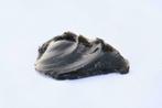 Zwarte Obsidiaan (10 -15 gram), Ophalen of Verzenden, Mineraal