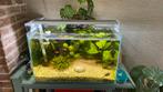 Superfish scaper 90, Dieren en Toebehoren, Ophalen of Verzenden, Zo goed als nieuw, Gevuld zoetwateraquarium