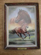 Thoroughbred, portrait of a champion, renpaard, paard, Verzenden, Zo goed als nieuw