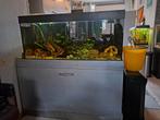 Aquarium Juwel 120, Dieren en Toebehoren, Ophalen, Gebruikt, Gevuld zoetwateraquarium
