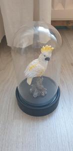 beeld papegaai , toekan of kaketoe in stolp nieuw, Ophalen, Nieuw, Dier