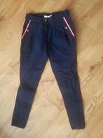 Blauwe Robby's rijbroek maat 38, Ophalen, Nieuw, Dressuur, Onderkleding