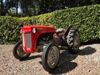 Schitterende Massey Ferguson Tef 20, Zakelijke goederen, Agrarisch | Tractoren, Ophalen of Verzenden, Oldtimer, Tot 80 Pk, Massey Ferguson