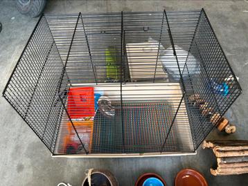 Dwerg Hamster kooi beschikbaar voor biedingen
