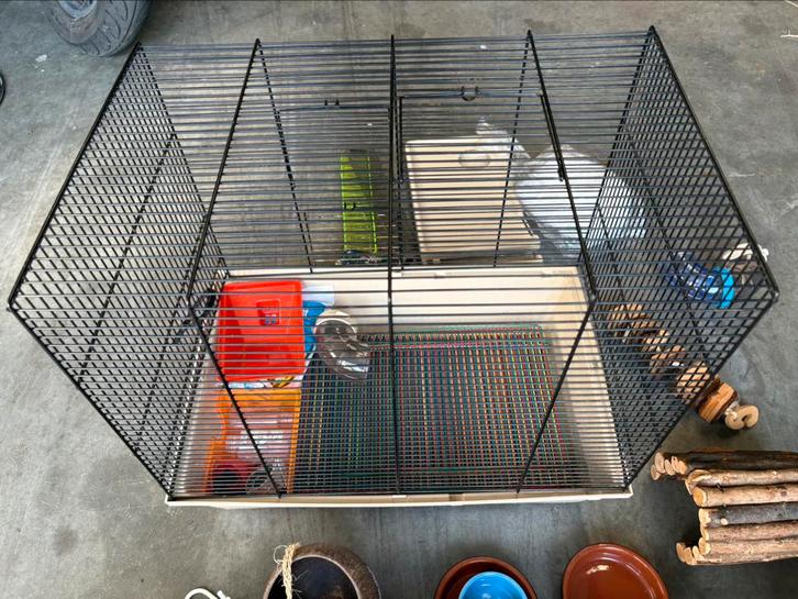 Dwerg Hamster kooi, Dieren en Toebehoren, Knaagdieren en Konijnen | Hokken en Kooien, Zo goed als nieuw, Kooi, Minder dan 60 cm