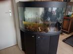 Hoek aqarium, Dieren en Toebehoren, Vissen | Aquaria en Toebehoren, Ophalen, Gebruikt, Leeg aquarium