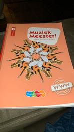 Muziek Meester!  Pabo boek, Boeken, Schoolboeken, Gelezen, Rinze van der Lei; Lieuwe Noordam; Frans Haverkort, Ophalen of Verzenden