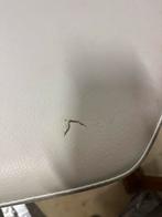 behandelstoel wit, Ophalen, Overige typen, X, X