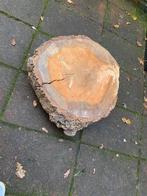 Boomstam tafeltje op wieltjes - boomstamtafel, Huis en Inrichting, Tafels | Sidetables, Ophalen, Rond, 50 tot 100 cm