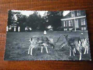 V35 - Drenthe - Gasselte - Hertenkamp - Mooi/Oud beschikbaar voor biedingen