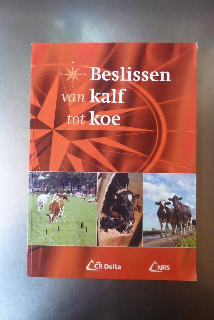 Beslissen van kalf tot koe - W. Grondman, Boeken, Dieren en Huisdieren, Zo goed als nieuw, Vee, Ophalen of Verzenden