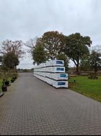 Mege partij terrastegels! 60x60x4cm Beton look -spotgoedkoop, Ophalen of Verzenden, Zo goed als nieuw, Beton, Klinkers