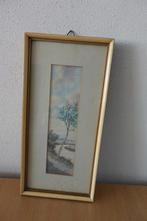 Jan Welles aquarel Berkenboom aan het water, Ophalen of Verzenden