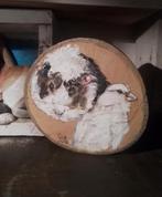 Schilderij, Ophalen of Verzenden