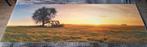 Foto op plexiglas 180 x 60 cm. Panorama / schilderij, Ophalen, 50 tot 75 cm, 125 cm of meer, Zo goed als nieuw