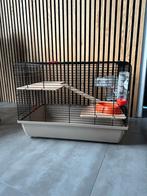 Knaagdierenverblijf, Kooi, Zo goed als nieuw, Ophalen, Minder dan 60 cm