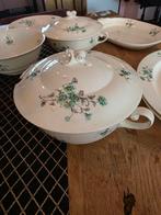 Prachtig Petrus Regout Servies met Groene Bloem, Ophalen, Gebruikt, Overige stijlen, Aardewerk