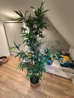 FEJKA IKEA Kunstplant Bamboe 180cm incl. mand, Huis en Inrichting, Kamerplanten, Ophalen, Overige soorten, Halfschaduw, In pot