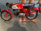 Aermacchi Ala verde 250cc