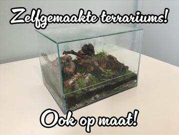 Zelfgemaakte kleine terrariums