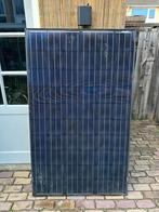 Talesun 255Wp Full Black Zonnepaneel - 164x99,0x4cm, Ophalen, Gebruikt, Minder dan 50 watt, Wandlamp