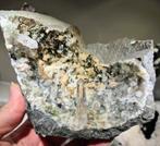 Kwarts met Hematiet spikkels geode. Goboboseb-berg Namibië, Verzamelen, Mineralen en Fossielen, Ophalen of Verzenden, Mineraal