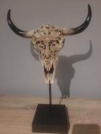 Buffel skull / schedel, Ophalen of Verzenden