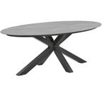 Een ovale eettafel 220x115 CENTOSTONE TAFELBLAD soort Keram, Huis en Inrichting, Tafels | Eettafels, Ophalen, Vijf personen of meer