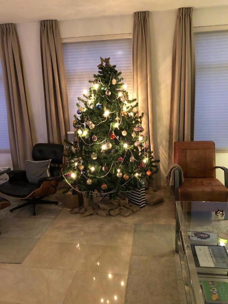 Kunst kerstboom te koop; Triumph Tree Norway Spruce, Diversen, Kerst, Gebruikt, Ophalen