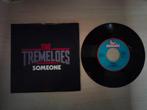 single Tremeloes - Someone / You can get it, Ophalen of Verzenden, Gebruikt, Pop, Single