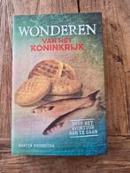 Boek; Wonderen van het Koninkrijk - Martin Koornstra, Ophalen of Verzenden, Zo goed als nieuw