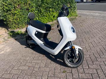Niu Mqi beschikbaar voor biedingen