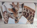 Giraffe poster op canvas nieuw in folie verpakt, Ophalen, Nieuw, A1 t/m A3, Film en Tv