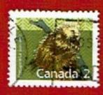 Fauna - Dieren - Stekelvarken - Canada - gebr, Ophalen of Verzenden, Gestempeld, Dier of Natuur