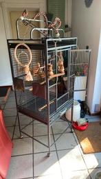 Papegaaien kooi, transport kooi, voer +extra’s.Vraagprijs, Ophalen, Gebruikt, Metaal, Vogelkooi