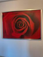 Ikea  schilderij roos, Ophalen