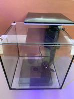 Superfish Qubiq 30 Pro Led aquarium, Ophalen, Gebruikt, Leeg aquarium