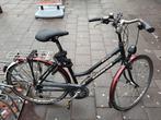 Hybride goed onderhouden fiets Batavus Cibola, Ophalen, Gebruikt, 10 tot 15 versnellingen, Batavus