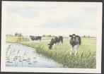 Drie koeien Kunst Wiebe van der Zee 17x,5 x 15 cm Nieuw op, Verzamelen, Verzenden, 1980 tot heden, Ongelopen, Overige thema's