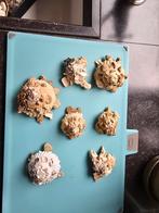 Mooie Xenophora Pallidula schelpen( verzamel schelp), Ophalen of Verzenden, Schelp(en)