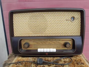 HELE MOOIE VERZORGDE BUIZEN RADIO 39.95 EURO   beschikbaar voor biedingen