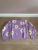 Leuke WE trui maat 146/152, WE, Meisje, Trui of Vest, Ophalen of Verzenden