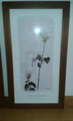 Schilderij van floral impressions timothy jones, Minder dan 50 cm, Schilderij, Ophalen of Verzenden, Zo goed als nieuw