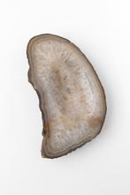 Agaat Schijf Schotel, Verzamelen, Mineralen en Fossielen, Ophalen of Verzenden, Mineraal