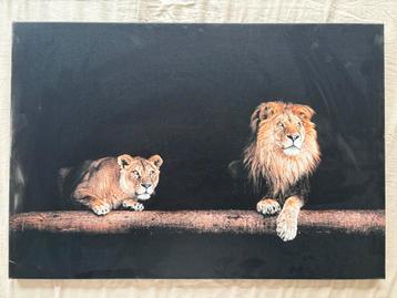 Schilderij Leeuwen beschikbaar voor biedingen