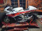 RD250 Project TZ250, Motoren, 250 cc, 2 cilinders, Sport, Particulier