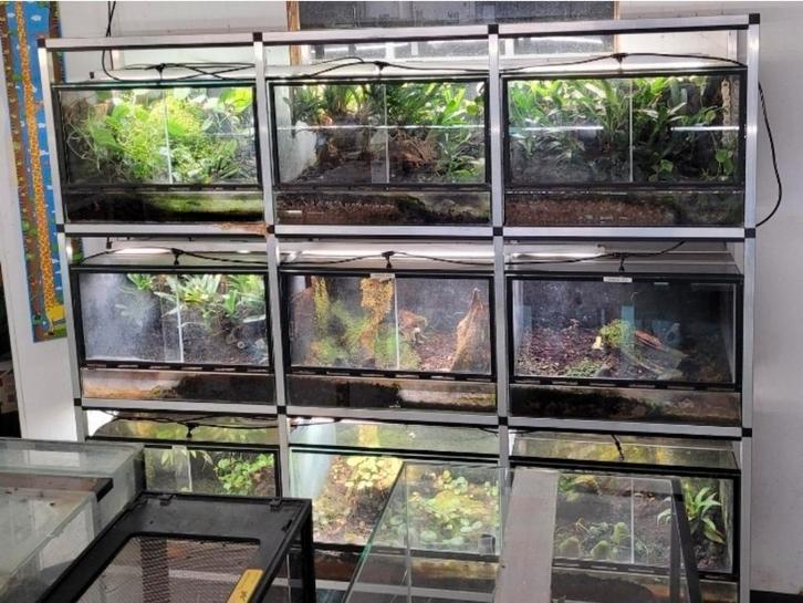 Terrarium/paludarium stellingen, Dieren en Toebehoren, Reptielen en Amfibieën | Toebehoren, Zo goed als nieuw, Ophalen