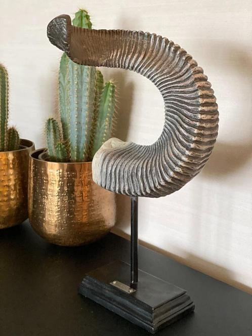 Erg mooie decoratieve hoorn van lifestyle home collection, Huis en Inrichting, Woonaccessoires | Overige, Zo goed als nieuw, Ophalen of Verzenden
