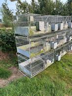 6 Konijnen Kooien, Kooi, Gebruikt, 60 tot 90 cm, Ophalen of Verzenden