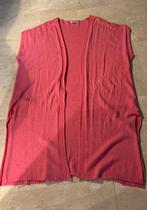 Bonita Avenue vest, Kleding | Dames, Maat 46/48 (XL) of groter, Nieuw, Ophalen of Verzenden, Bonita Avenue